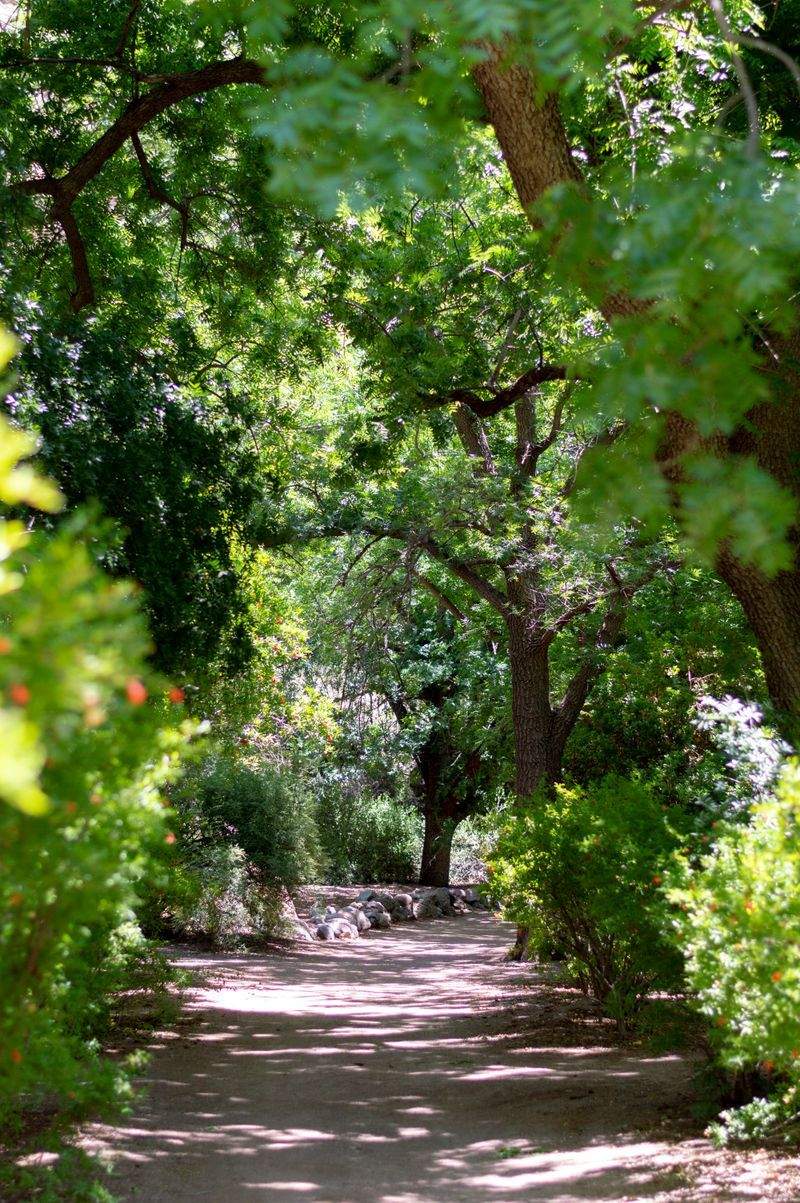 VerdeVivo Jardinería y Paisajismo 1