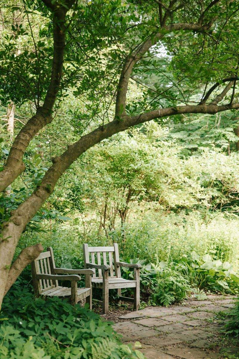 VerdeVivo Jardinería y Paisajismo 14