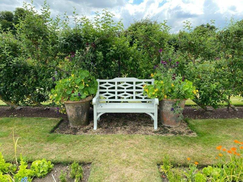 VerdeVivo Jardinería y Paisajismo 2