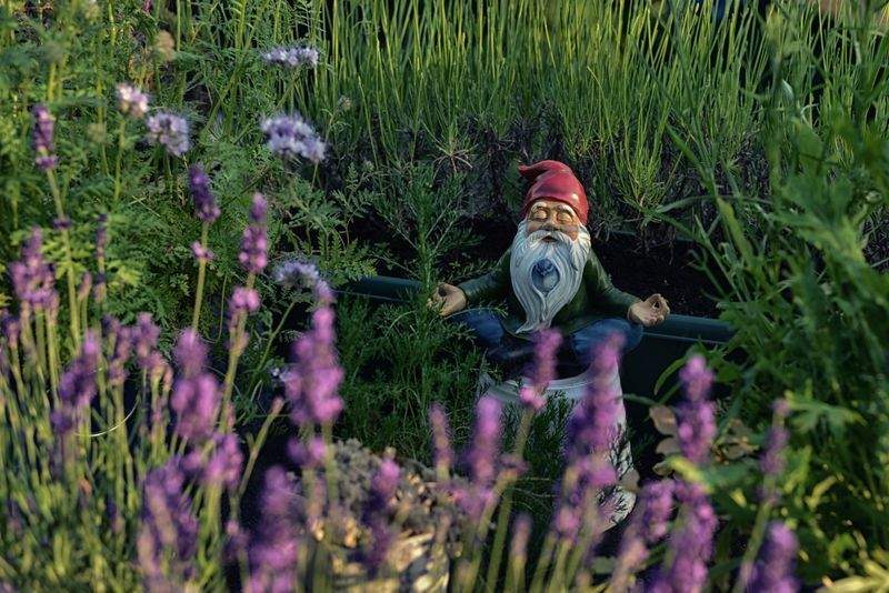 VerdeVivo Jardinería y Paisajismo 4