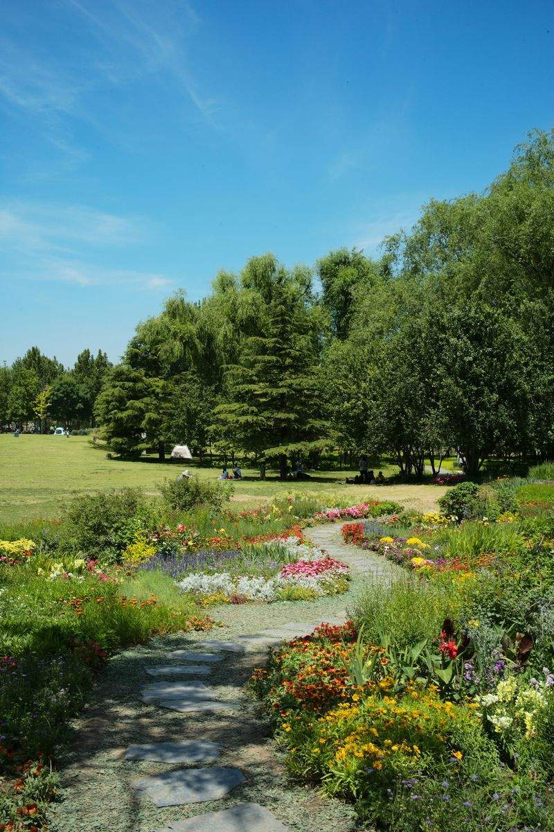 VerdeVivo Jardinería y Paisajismo 5