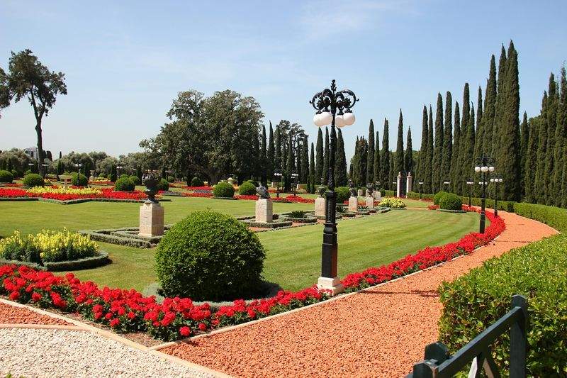 VerdeVivo Jardinería y Paisajismo 8